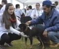 Ação Unifacvest levou cidadania e diversão ao bairro Centenário