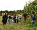 Medicina Veterinária promoveu Dia de Campo 