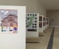 Abertura da Exposição Fotográfica "De Lajens A Lages"