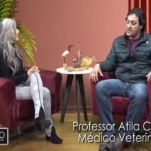 Clínica Veterinária da Unifacvest em destaque na Nova Era TV