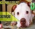 SPOTIFY PODCAST #29 DICAS PARA O SEU PET | CASTRAÇÃO