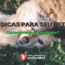 VÍDEO | CORONAVÍRUS EM ANIMAIS? 