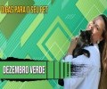 DEZEMBRO VERDE | DICAS PARA SEU PET