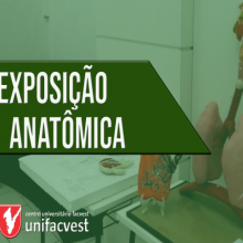 EXPOSIÇÃO ANATÔMICA | Confira os dioramas!
