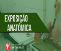 EXPOSIÇÃO ANATÔMICA | Confira os dioramas!