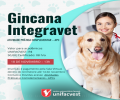 GINCANA INTEGRAVET