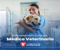 Parabéns, Veterinários!