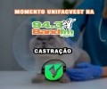 SPOTIFY PODCAST #49 BAND FM | MOMENTO UNIFACVEST | #07 DICAS PARA SEU PET – CASTRAÇÃO