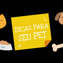 VÍDEO: DICAS PARA O SEU PET | VACINAÇÃO