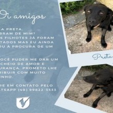 A Preta tem um recado para você!