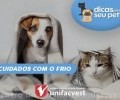 DICAS PARA SEU PET | CUIDADOS COM O FRIO