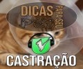 VÍDEO: DICAS PARA SEU PET | CASTRAÇÃO