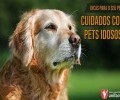 CUIDADOS COM PETS IDOSOS | DICAS PARA O SEU PET