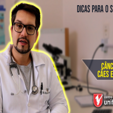 VÍDEO: CÂNCER EM CÃES E GATOS | DICAS PARA O SEU PET