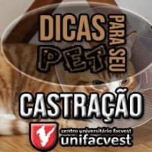 VÍDEO: DICAS PARA SEU PET | CASTRAÇÃO