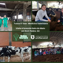 MEDICINA VETERINÁRIA: alunos da 5ª fase realizaram visita técnica à fazenda Gato do Mato, em Bom Retiro - SC