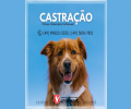 DICAS PARA SEU PET | CASTRAÇÃO